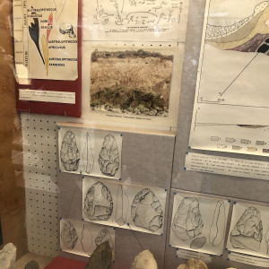 Vitrine de bifaces