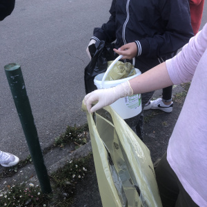 Récolte des déchets