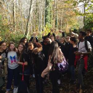 A travers le Bois d'Amour