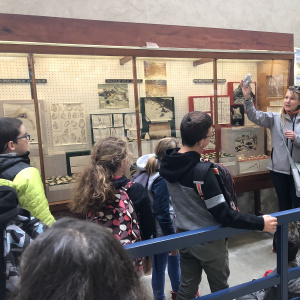 Visite guidée du musée
