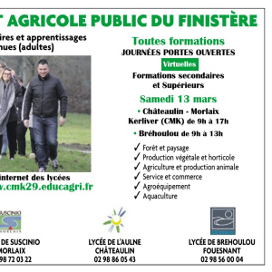 info document