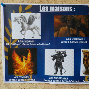 Les différentes maisons