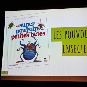 Conférence du festival « Le Temps de l'Arbre »