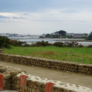 la vue et les tubuli en gros plan.